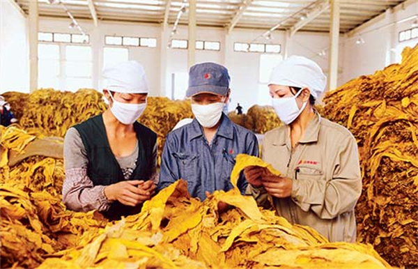烟叶分级灯箱的色温和显色指数是多少？